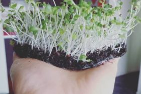 ciencias-servicios-1