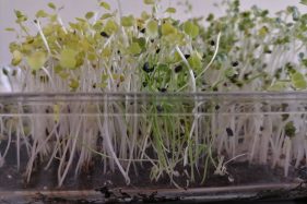 ciencias-servicios-3